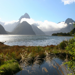 New Zealand