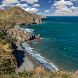 Sea of Cortez