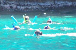 Children snorkel the Virgin Islands