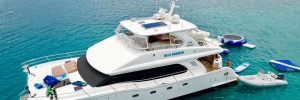 Blue Horizon 60' Horizon power cat with fly bridge, deluxe accommodations, captain only option