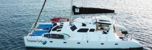 TURQUOISE TURTLE 50' Voyage catamara 2001 for scuba and term charters in BVI